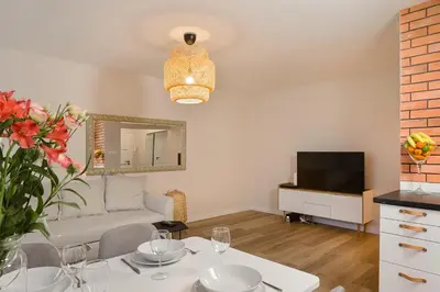 Telewizja i/lub zestaw kina domowego w obiekcie P&O Apartments Hawajska