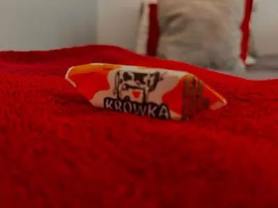 Certyfikat, podpis lub inny dokument wystawiony w obiekcie Special 1 Bed room Condo Warszawa Center