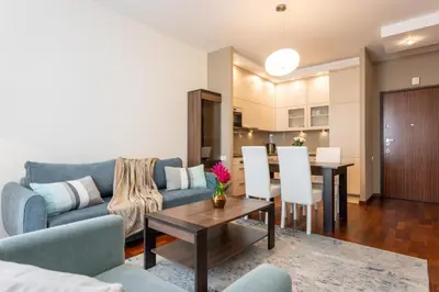 Kuchnia lub aneks kuchenny w obiekcie Urban Apartaments - Great Location - City Center - Stawki