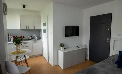 Kuchnia lub aneks kuchenny w obiekcie Apartament Ola
