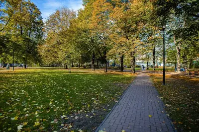 Plan piętra w obiekcie Warsaw City Centre & Pet-friendly Studio by Noclegi Renters